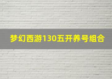 梦幻西游130五开养号组合