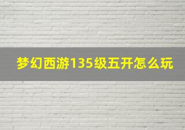 梦幻西游135级五开怎么玩