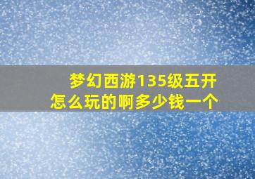 梦幻西游135级五开怎么玩的啊多少钱一个