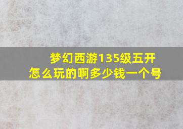 梦幻西游135级五开怎么玩的啊多少钱一个号