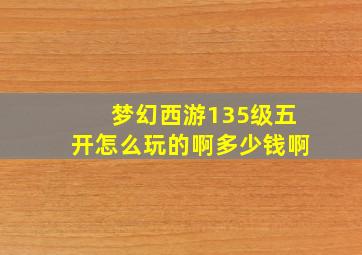 梦幻西游135级五开怎么玩的啊多少钱啊