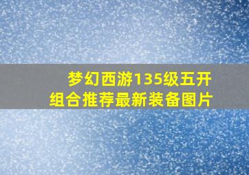 梦幻西游135级五开组合推荐最新装备图片