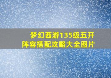 梦幻西游135级五开阵容搭配攻略大全图片