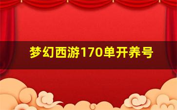 梦幻西游170单开养号