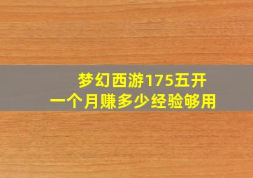 梦幻西游175五开一个月赚多少经验够用