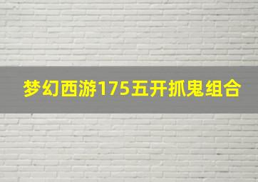 梦幻西游175五开抓鬼组合