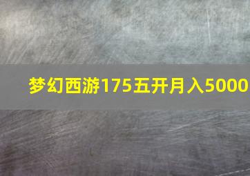 梦幻西游175五开月入5000