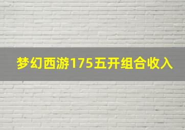 梦幻西游175五开组合收入