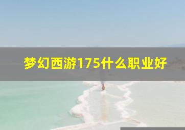 梦幻西游175什么职业好