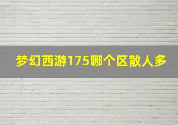 梦幻西游175哪个区散人多