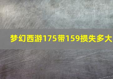 梦幻西游175带159损失多大