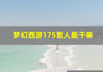 梦幻西游175散人能干嘛