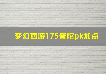 梦幻西游175普陀pk加点