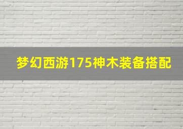 梦幻西游175神木装备搭配