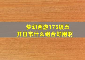 梦幻西游175级五开日常什么组合好用啊