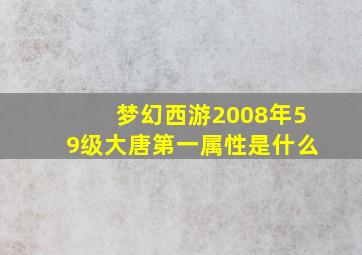 梦幻西游2008年59级大唐第一属性是什么