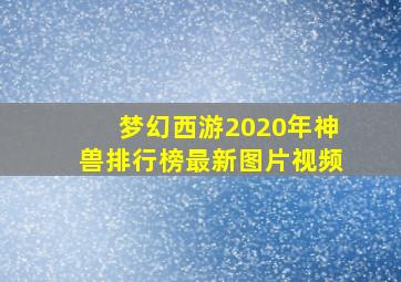 梦幻西游2020年神兽排行榜最新图片视频