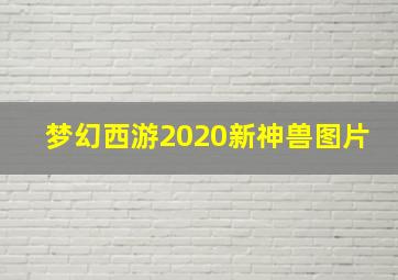 梦幻西游2020新神兽图片