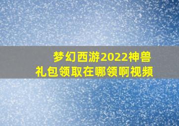 梦幻西游2022神兽礼包领取在哪领啊视频