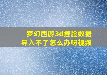 梦幻西游3d捏脸数据导入不了怎么办呀视频