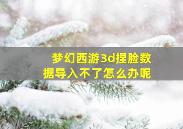 梦幻西游3d捏脸数据导入不了怎么办呢