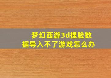 梦幻西游3d捏脸数据导入不了游戏怎么办