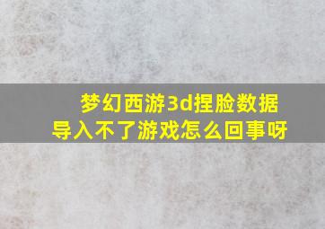 梦幻西游3d捏脸数据导入不了游戏怎么回事呀