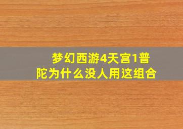 梦幻西游4天宫1普陀为什么没人用这组合