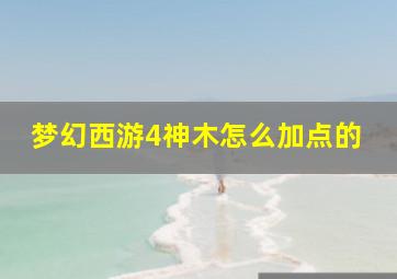 梦幻西游4神木怎么加点的