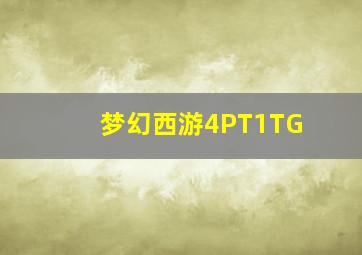 梦幻西游4PT1TG