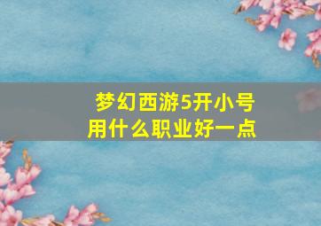 梦幻西游5开小号用什么职业好一点