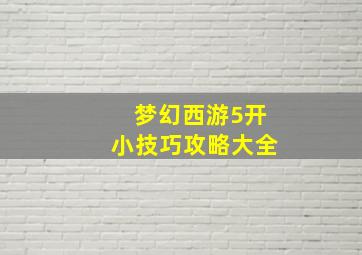 梦幻西游5开小技巧攻略大全