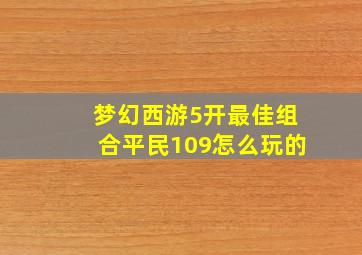 梦幻西游5开最佳组合平民109怎么玩的