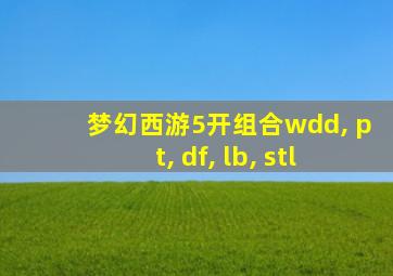 梦幻西游5开组合wdd, pt, df, lb, stl