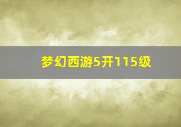 梦幻西游5开115级