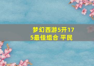 梦幻西游5开175最佳组合 平民