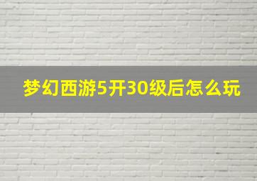 梦幻西游5开30级后怎么玩