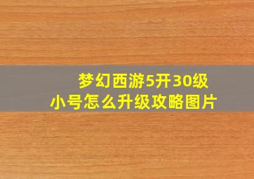 梦幻西游5开30级小号怎么升级攻略图片