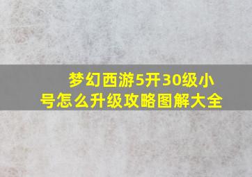 梦幻西游5开30级小号怎么升级攻略图解大全