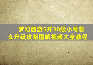 梦幻西游5开30级小号怎么升级攻略图解视频大全教程