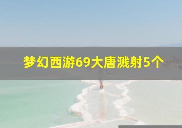 梦幻西游69大唐溅射5个