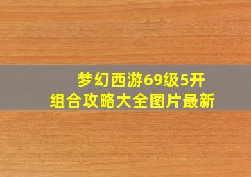 梦幻西游69级5开组合攻略大全图片最新