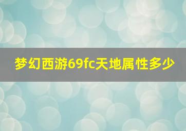 梦幻西游69fc天地属性多少