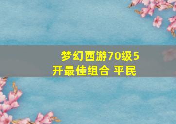 梦幻西游70级5开最佳组合 平民