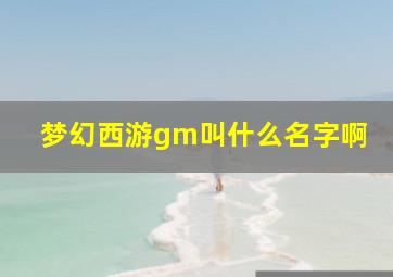 梦幻西游gm叫什么名字啊