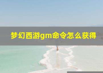 梦幻西游gm命令怎么获得