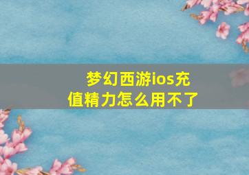 梦幻西游ios充值精力怎么用不了