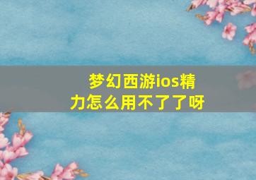 梦幻西游ios精力怎么用不了了呀