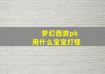 梦幻西游pk用什么宝宝打怪