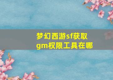 梦幻西游sf获取gm权限工具在哪